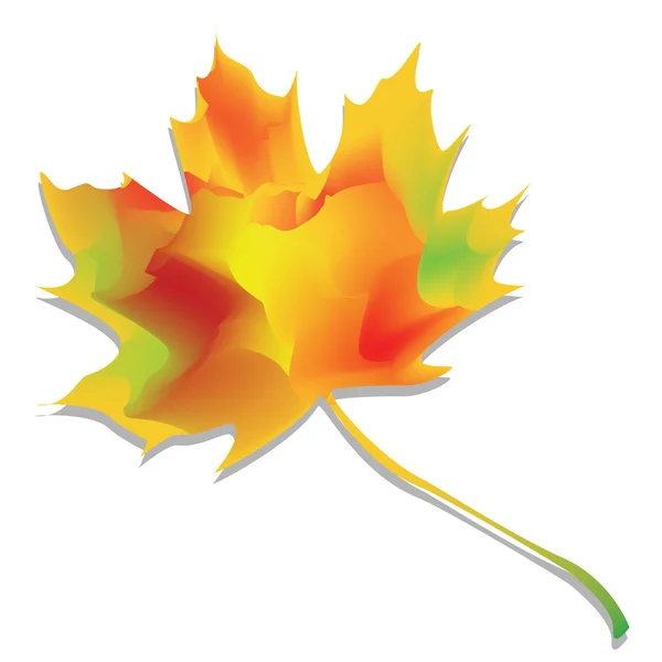 Podzimní listí — Stockový vektor