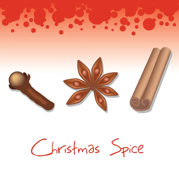 Épice de Noël — Image vectorielle