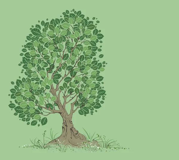 Vektor fa egy zöld háttér — Stock Vector