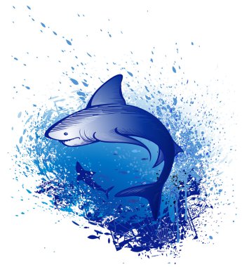 Emerges white shark clipart