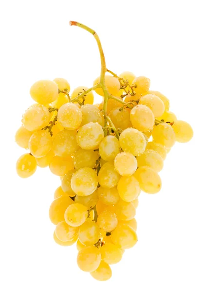 stock image Yellow grape cluster