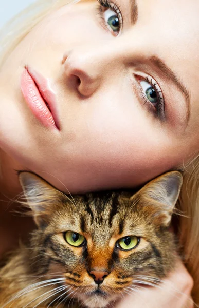 stock image Female and cat