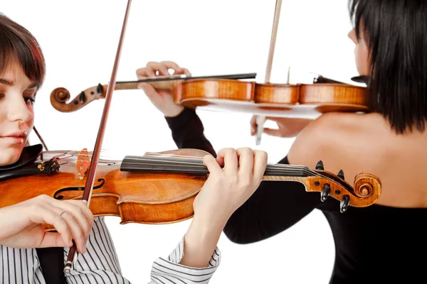 Violinisti isolati — Foto Stock