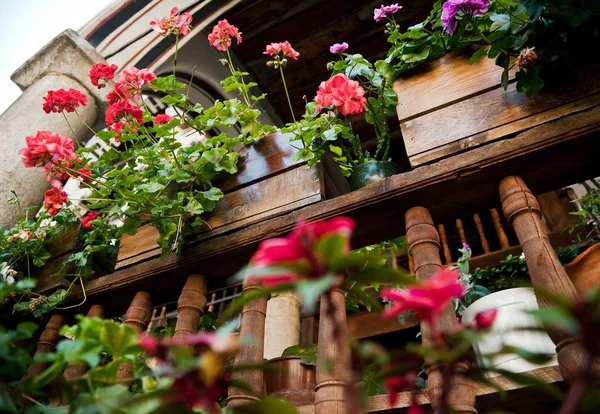 stock image Flowers on a wooden balcony