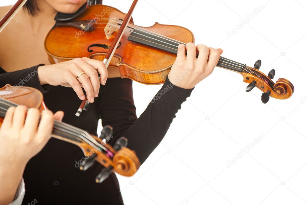 Violinists no face isolated