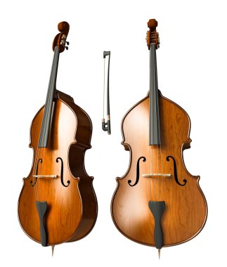 Double bass clipart