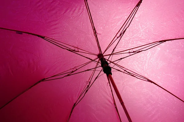 ร่มสีชมพู — ภาพถ่ายสต็อก