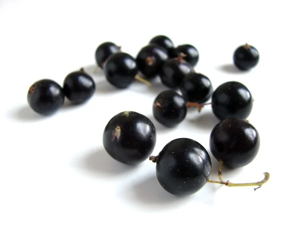 Black currant — Stock Photo, Image