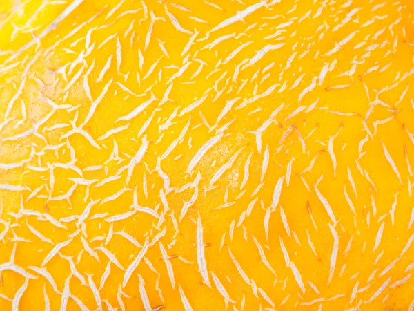 Gele meloen textuur Stockfoto