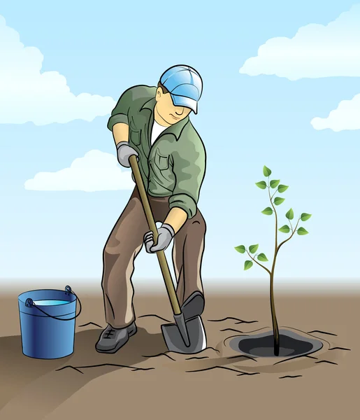 Gardener plant a tree — Stock Vector