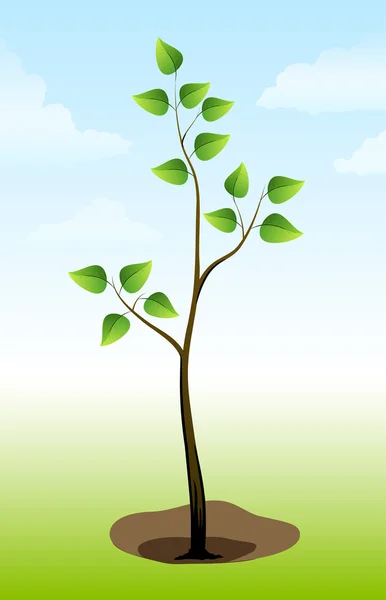 Fa növény a földön — Stock Vector