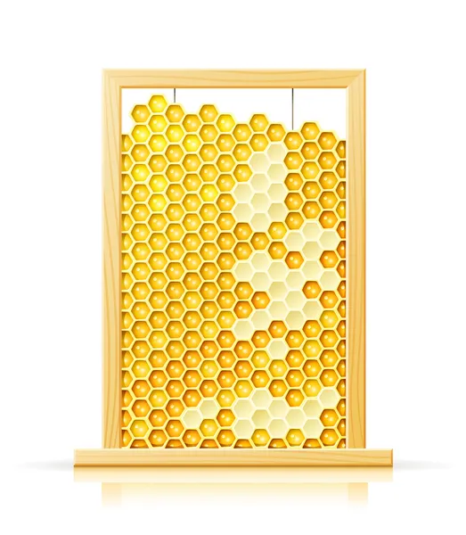 在框架中的蜜蜂蜂窝 — 图库矢量图片
