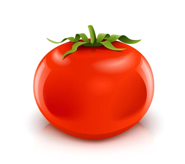 Röd mogen tomat — Stock vektor