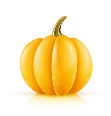 Ripe orange pumpkin clipart