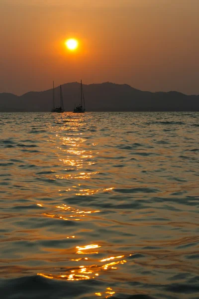 Stock image Tropical sunset