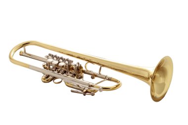 Altın trompet