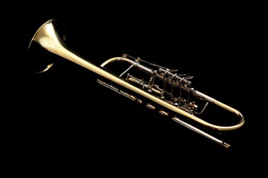 Gold trumpet in night clipart