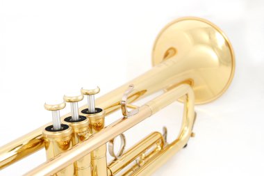 Golden trumpet colseup clipart