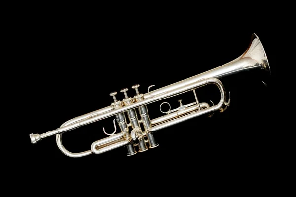 Gece gümüş trompet — Stok fotoğraf