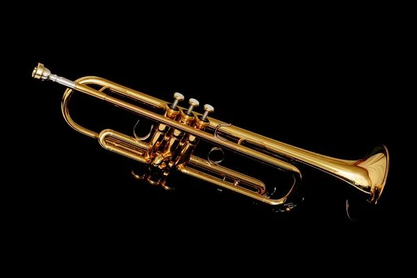Zlatá trumpeta v noci — Stock fotografie
