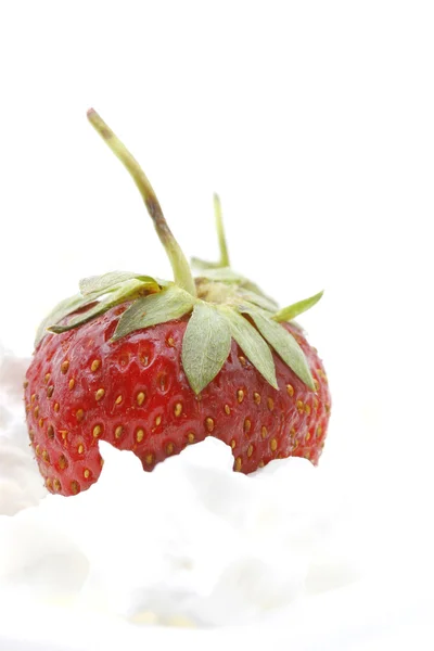 Erdbeere in Sahne — Stockfoto