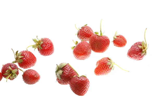 Gros plan sur les fraises — Photo
