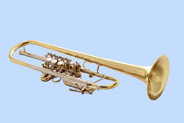 Goldtrompete — Stockfoto