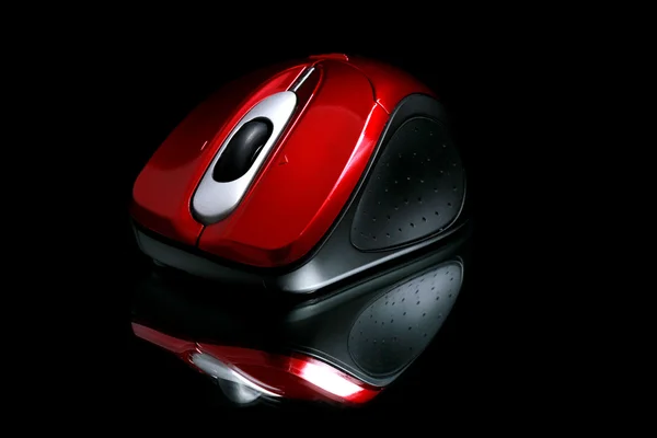 Stock image Mouse in the night