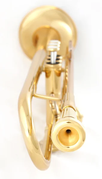 Altın trompet portre — Stok fotoğraf