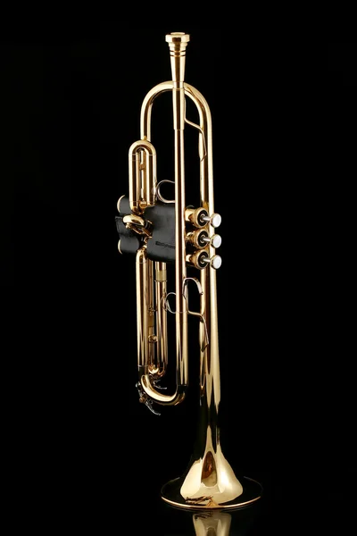 Gecede altın trompet — Stok fotoğraf