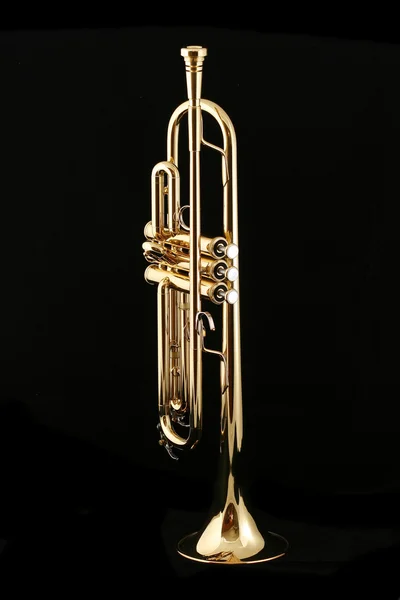 Zlatá trumpeta v noci — Stock fotografie