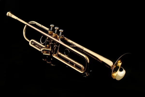 Gecede altın trompet — Stok fotoğraf