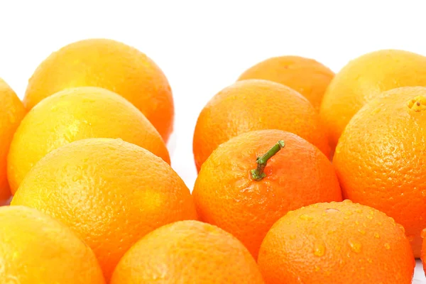 Mandaryński i pomarańczowy — Zdjęcie stockowe