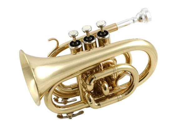 Trompeta de bolsillo dorado — Foto de Stock