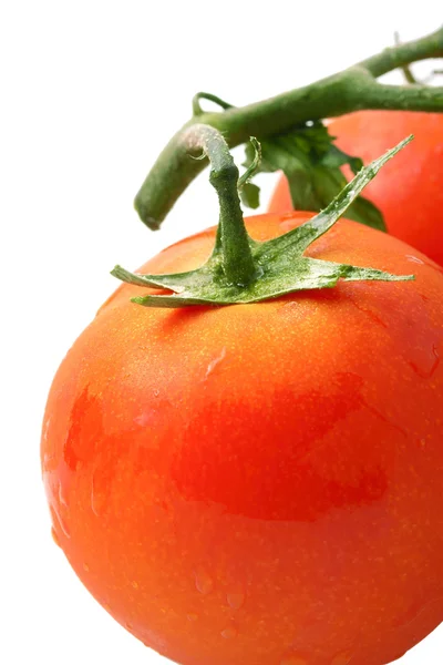 Dojrzałe pomidory — Zdjęcie stockowe