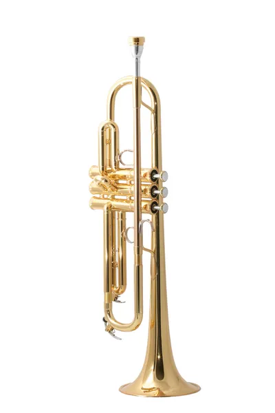 Guld trumpet — Stockfoto