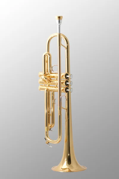 Zlatá trumpeta — Stock fotografie