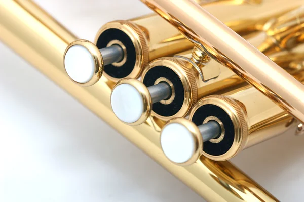 stock image Gold trumpet