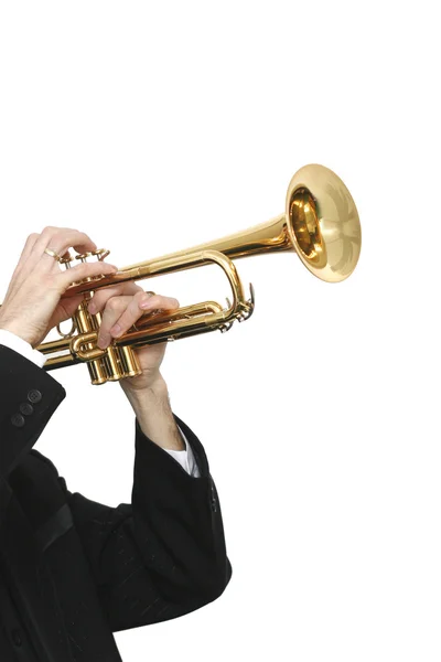 stock image Trumpet player