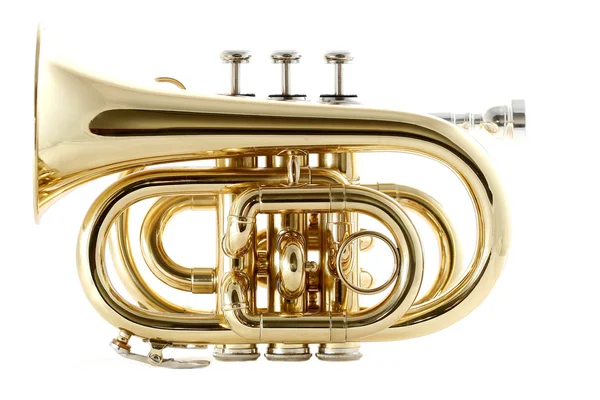Золотая карманная труба — стоковое фото