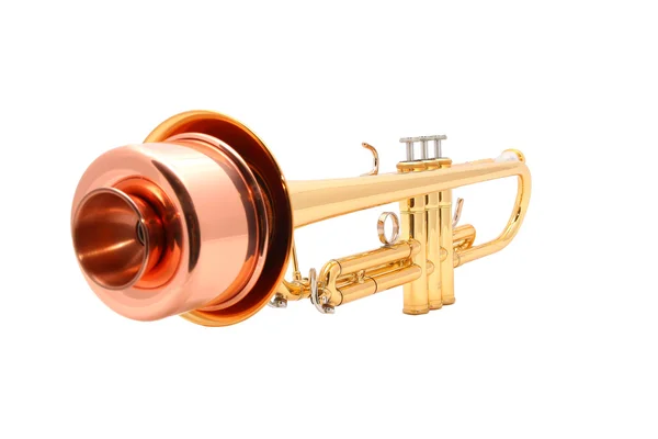 Trompete de ouro — Fotografia de Stock