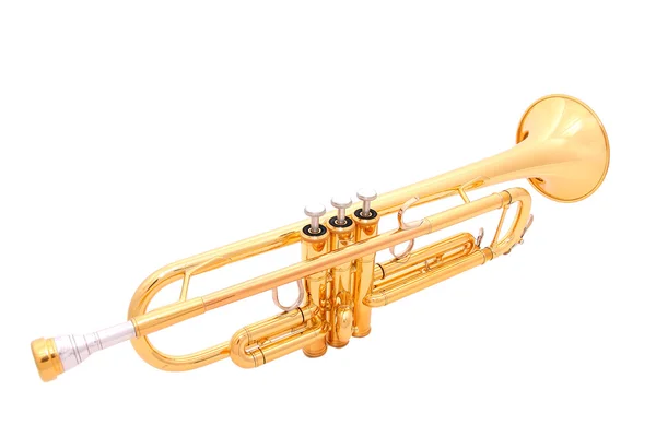 Altın trompet — Stok fotoğraf