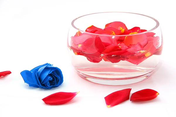 Petali di rose — Foto Stock