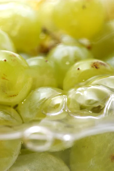 stock image Grapes in water