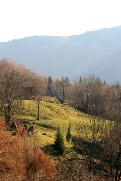 Dağ manzarası