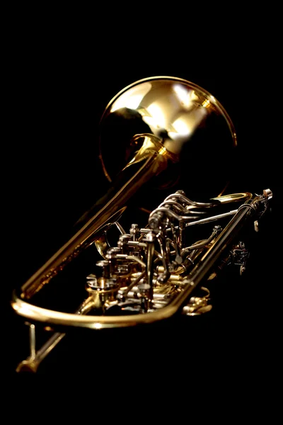 Gold trumpet in night Stock Picture