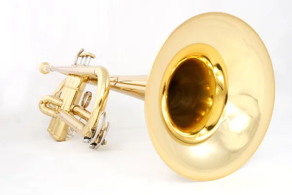 Goldene Trompete lizenzfreie Stockfotos