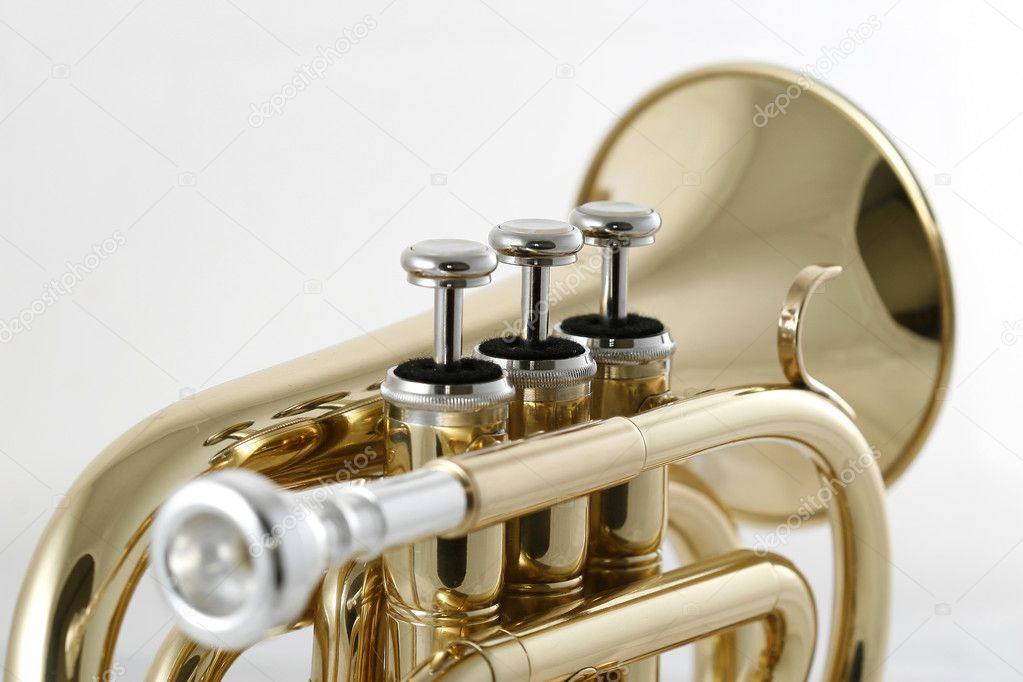Golden pocket trumpet