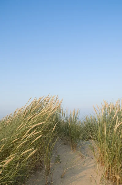 stock image Landscape and blue sky