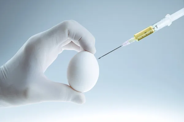 Доктор оплодотворяет яйцеклетку — стоковое фото